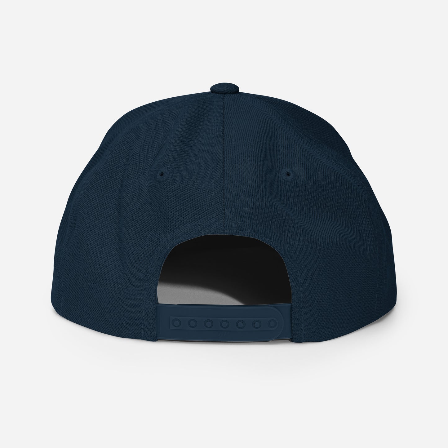 LIVIN SALTY Snapback Hat