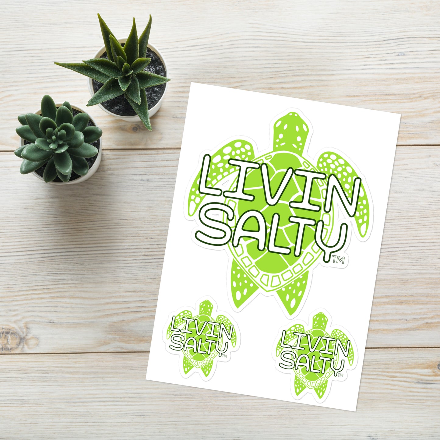 Turtle LIVIN SALTY Sticker sheet
