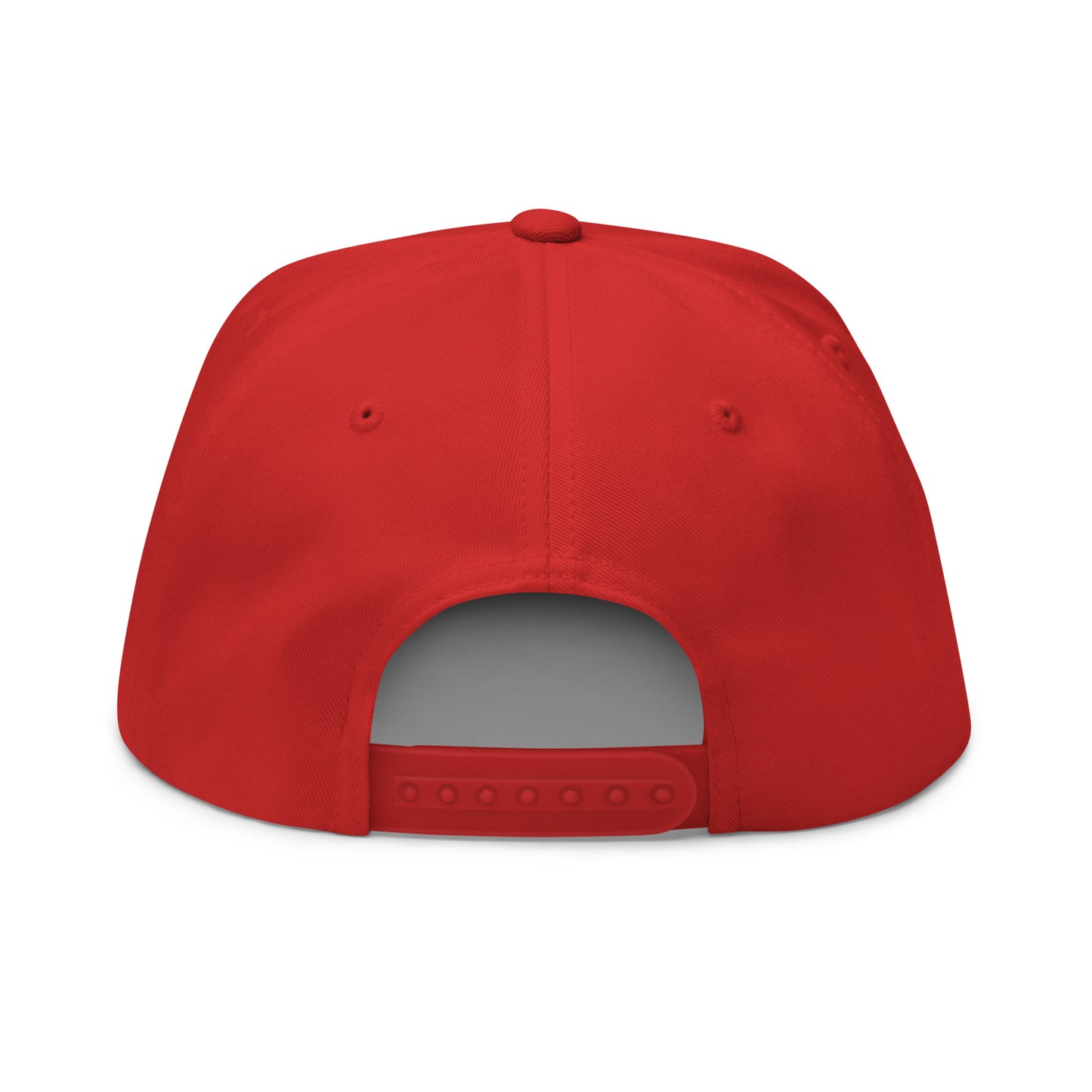 Flat Bill LIVIN SALTY Cap