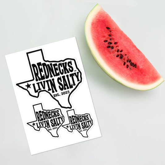 REDNECKS LIVIN SALTY Texas sticker sheet